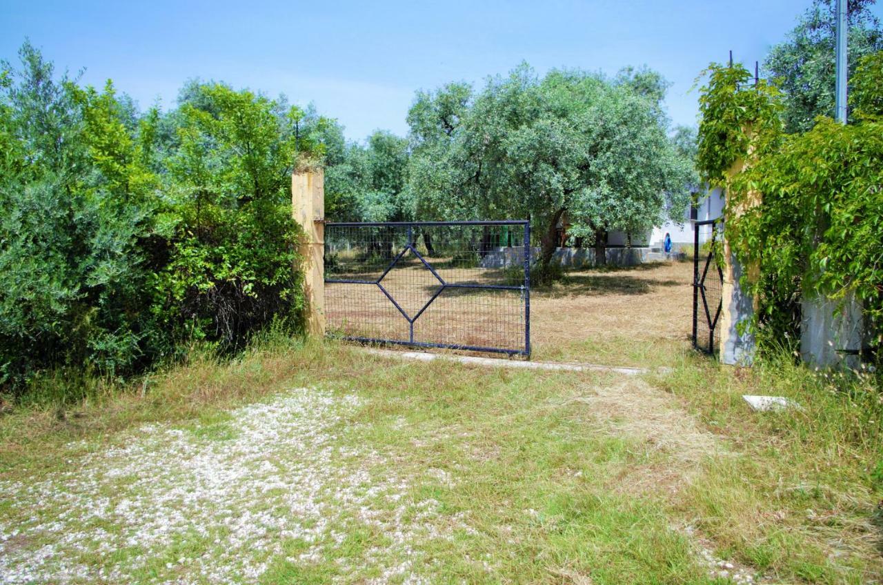 Ktima Elia Skala Sotiros Exterior foto